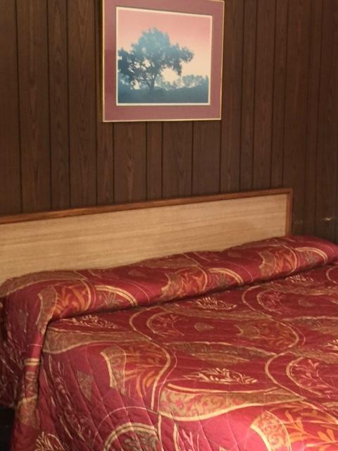 Plantation Motel Candler Eksteriør billede